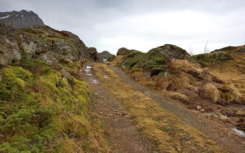 Hiking trail at Straumfjorden