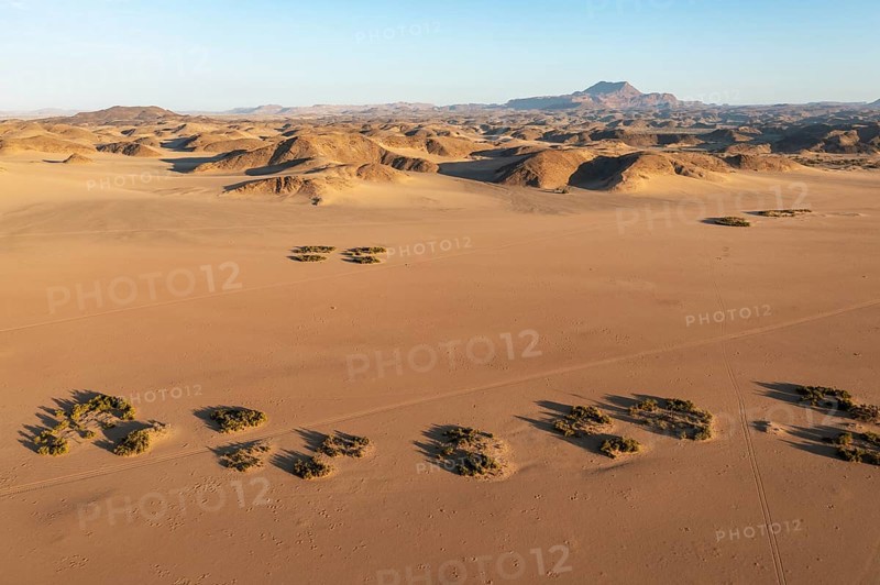 Sandy desert plains and bare mountain ranges