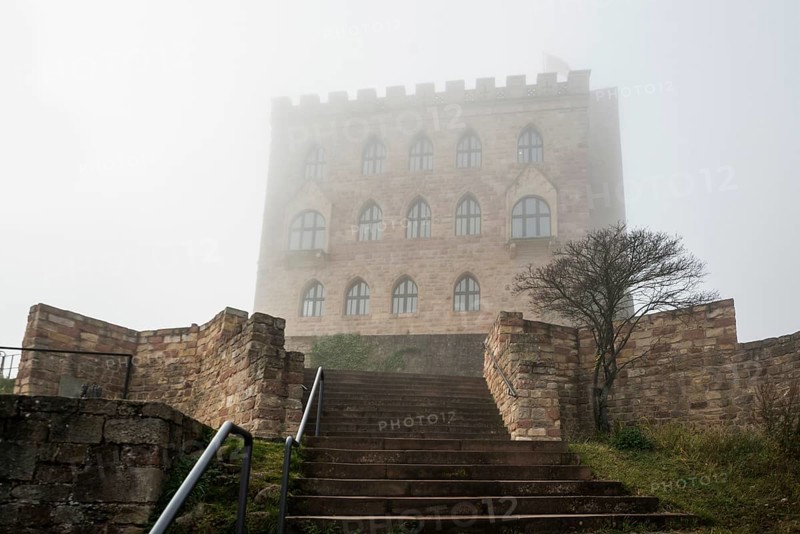 Hambach Castle in the fog