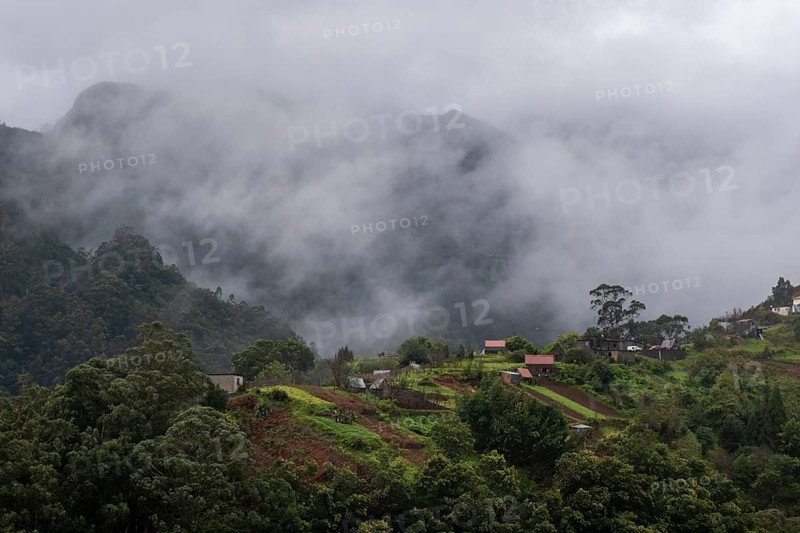Green gorge with fog near Ribeiro Frio