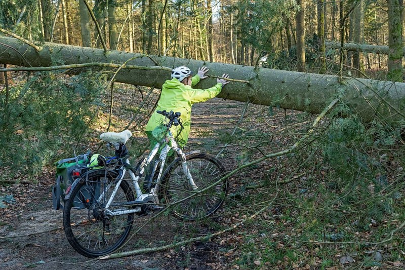 Woman cycling through the forest on an e-bike after a storm