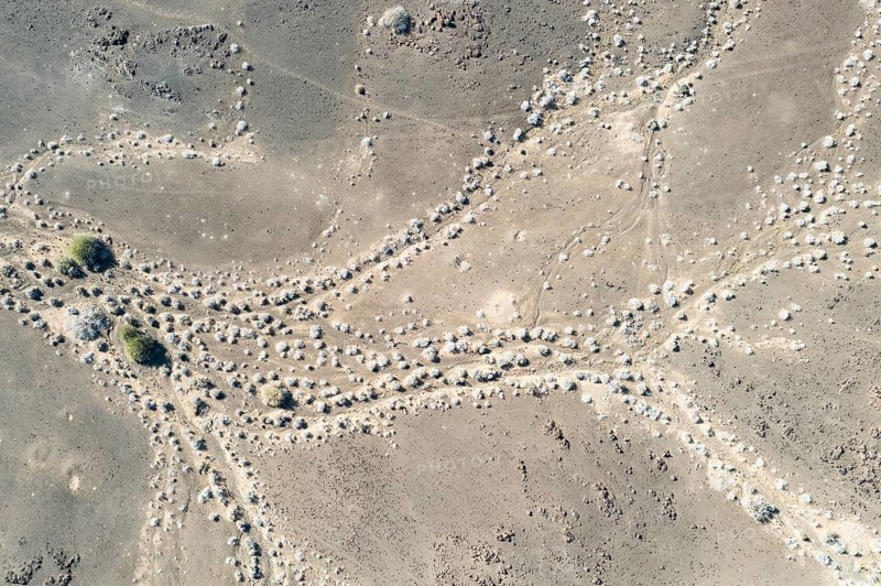 Dried up rivers after years of drought