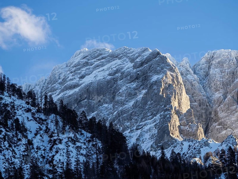 Winter landscape