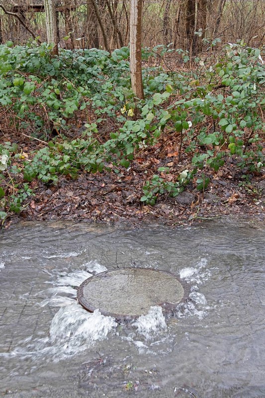 Water pouring out of a manhole cover