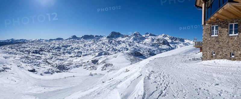 Winter landscape