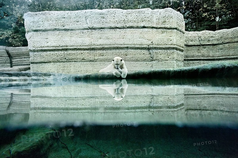 Hellabrunn Zoo