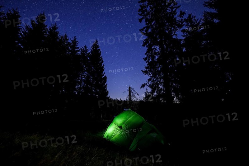 Illuminated green tent at the edge of the forest