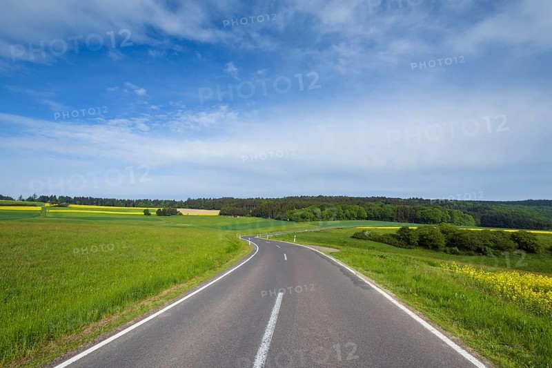 Winding Country Road in Spring