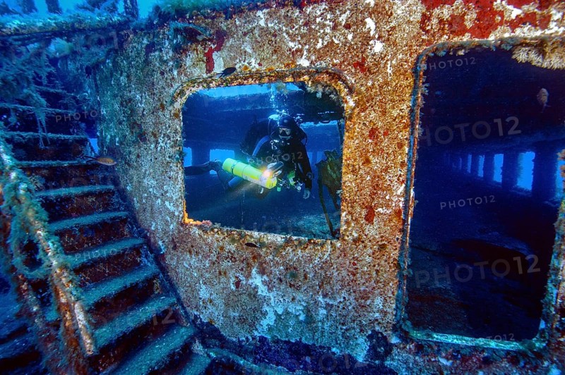 Diver looking through window