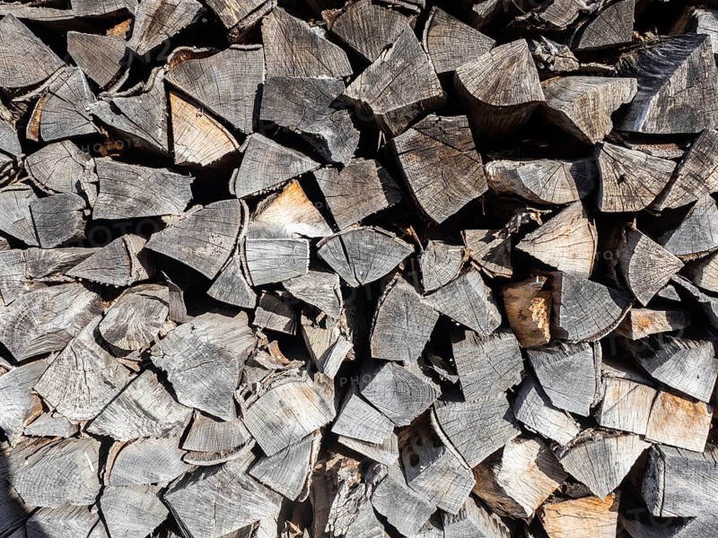 Stacked firewood