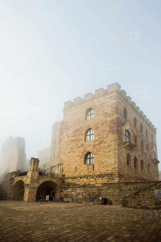 Hambach Castle in the fog