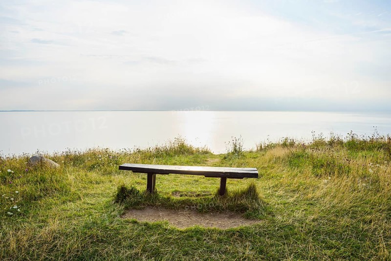 Shoreline with Sun and Bench in Summer