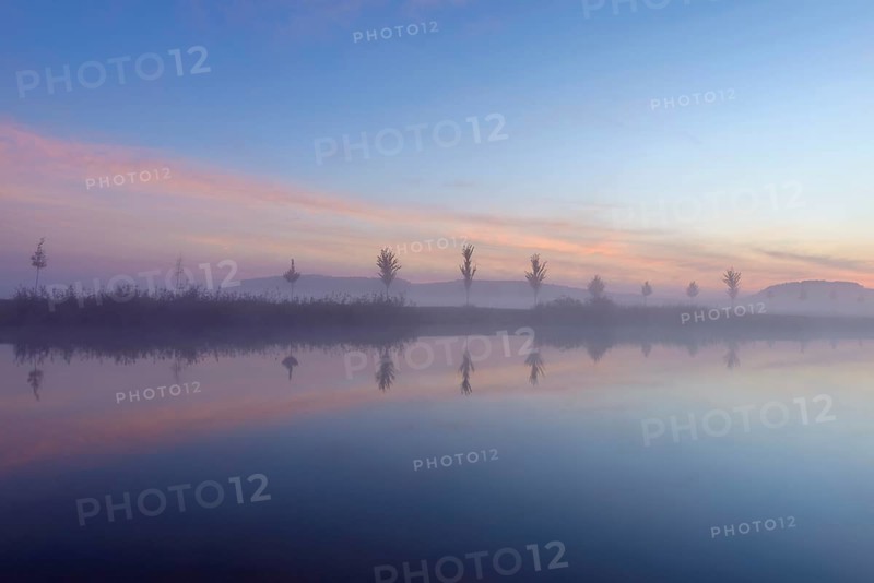 Landscape with Row of Trees Reflecting in Lake at Dawn with Morning Mist