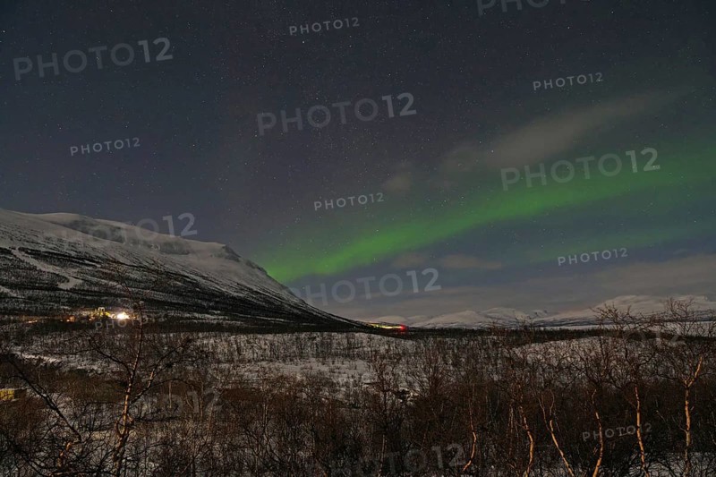 Aurora borealis over snow-covered mountains and birch trees