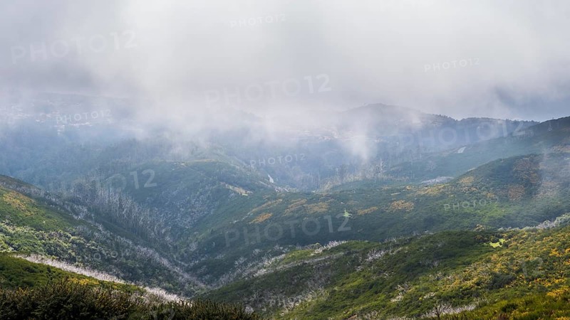 View into green gorge from plateau of Paul da Serra