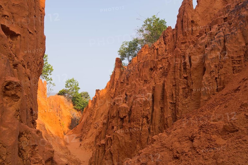 Red Canyon