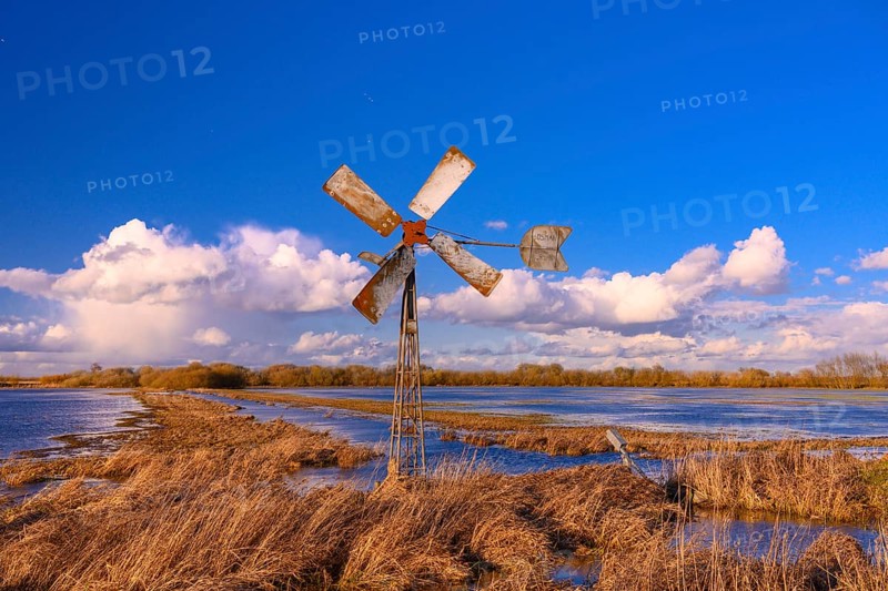 Windmill at the edge of a wet meadow in the Ochsenmoor at Lake Duemmer