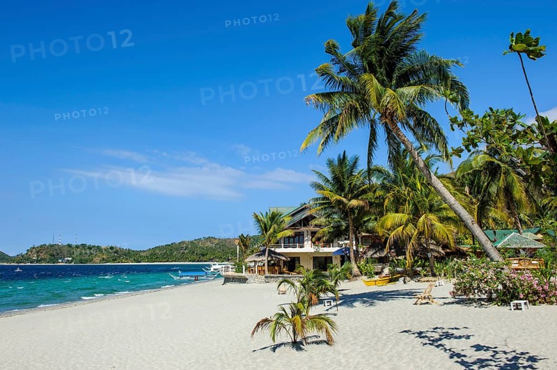 Empty sandy beach without tourists with coconut palm