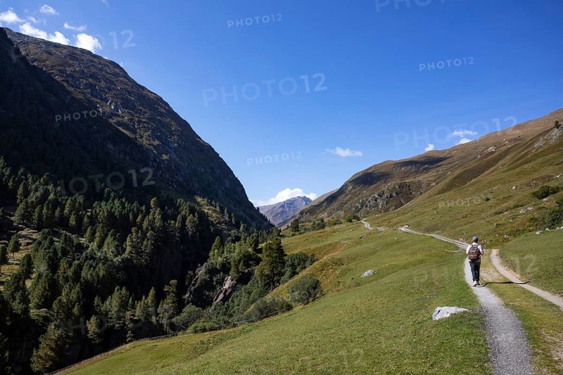 Hikers walking on the alpine pastures in the Rofental