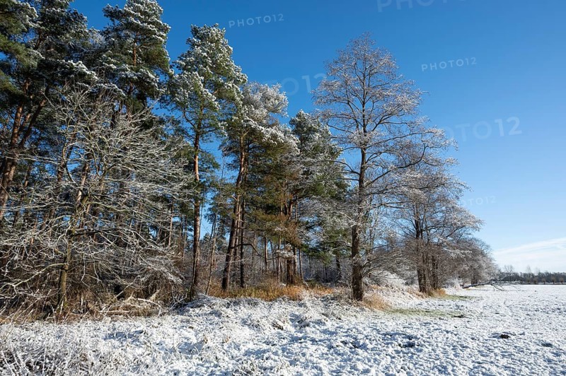 Snow