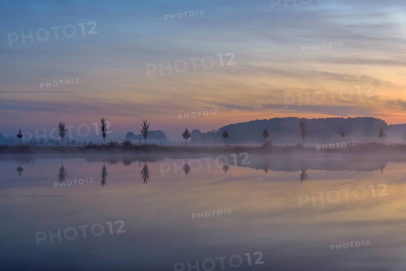 Landscape with Row of Trees Reflecting in Lake at Dawn