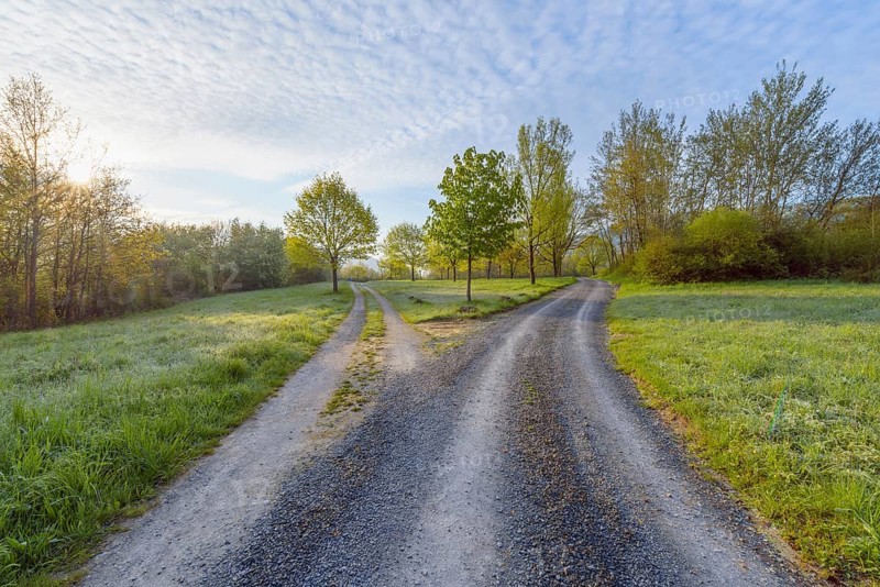 Forked dirt road in the morning at spring