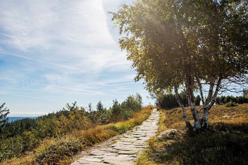 High moor and hiking trail