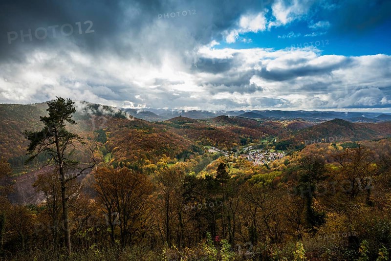 Autumn-coloured forest and mountains