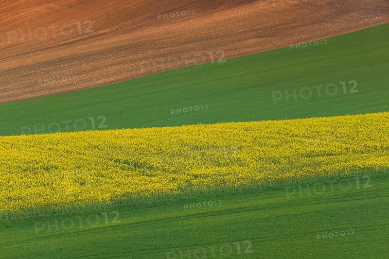 Beautiful and colorful abstract landscape