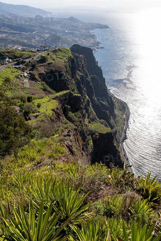 View from Cabo Girao