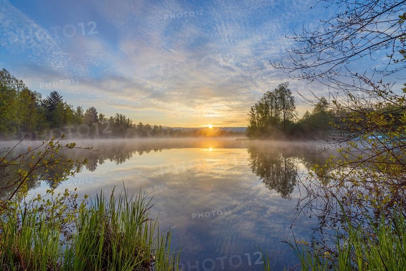 Lake with morning mist at sunrise