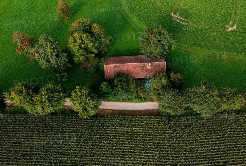 Old house roof in an agricultural landscape with maize field and gravel path from above