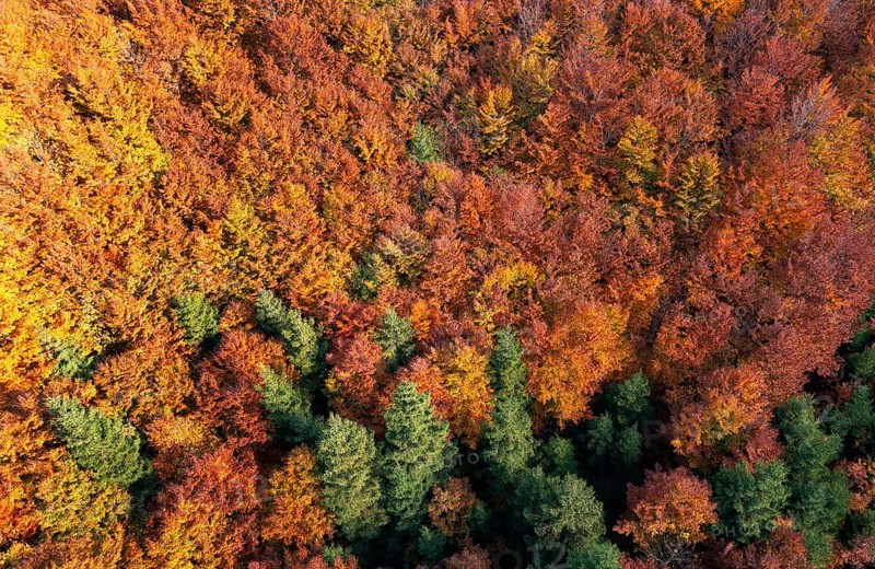 Drone image
