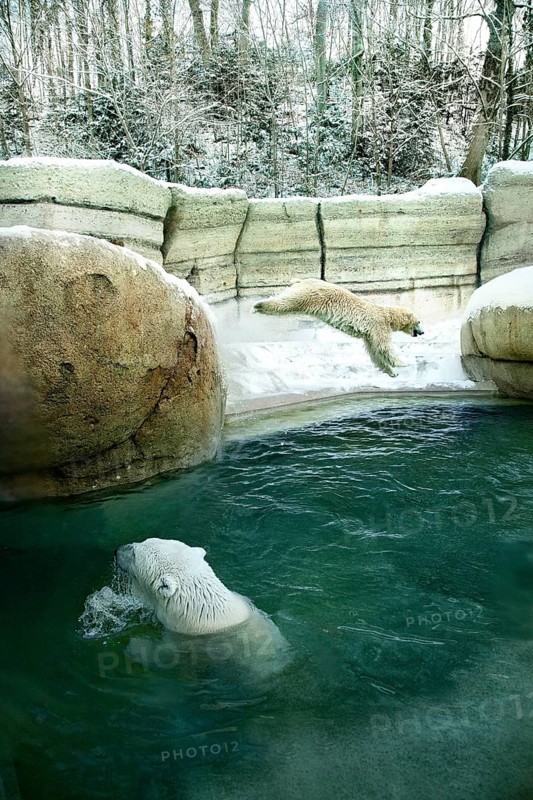 Zoo Hellabrunn