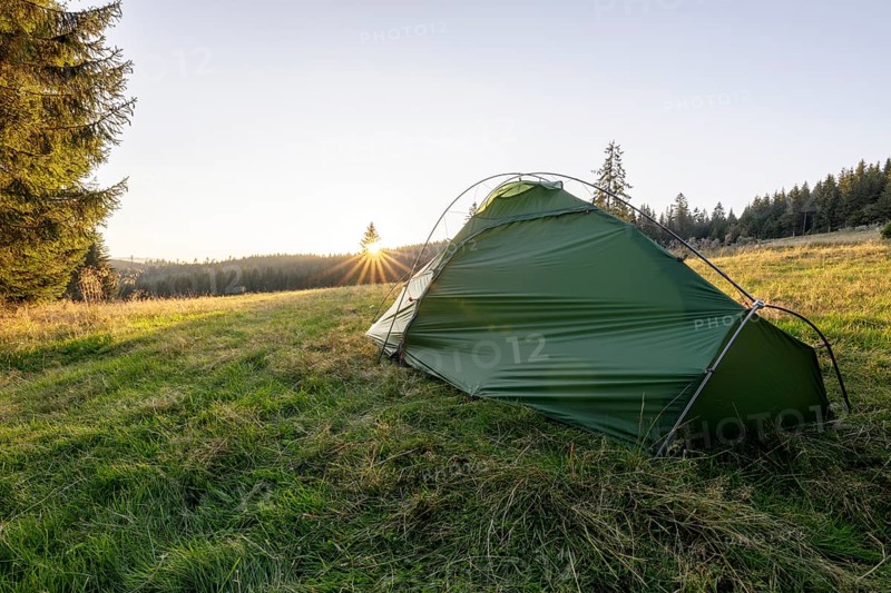 Green tent on a forest meadow in the morning light