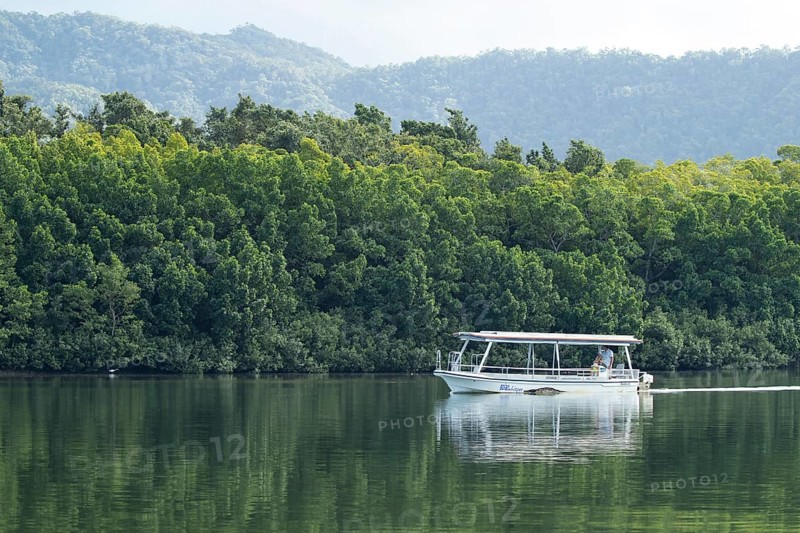 Tourist boat on the Daintree river