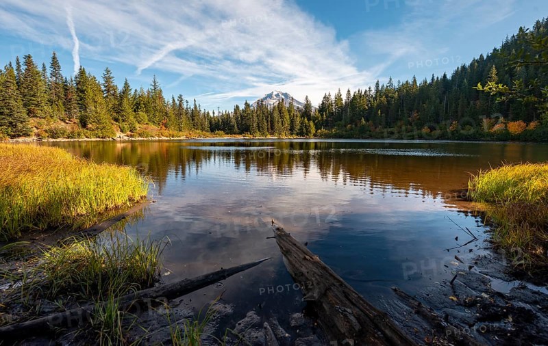 Mirror Lake with forest