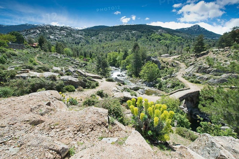 Mountain landscape