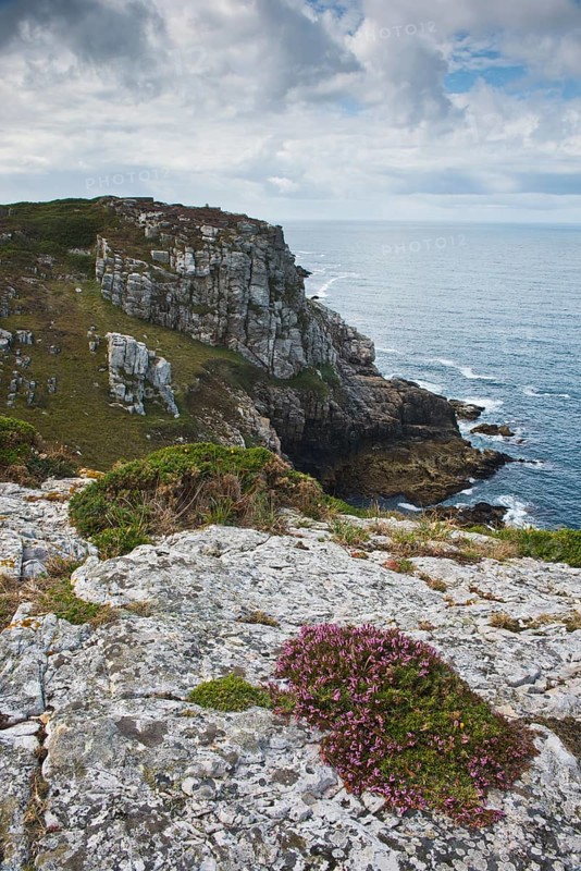 Rocky coast