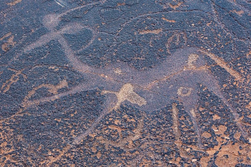 The dancing kudu panel at the Twyfelfontein rock engravings west of the town of Khorixas