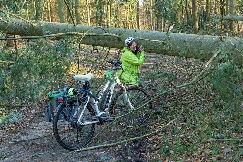 Woman cycling through the forest on an e-bike after a storm