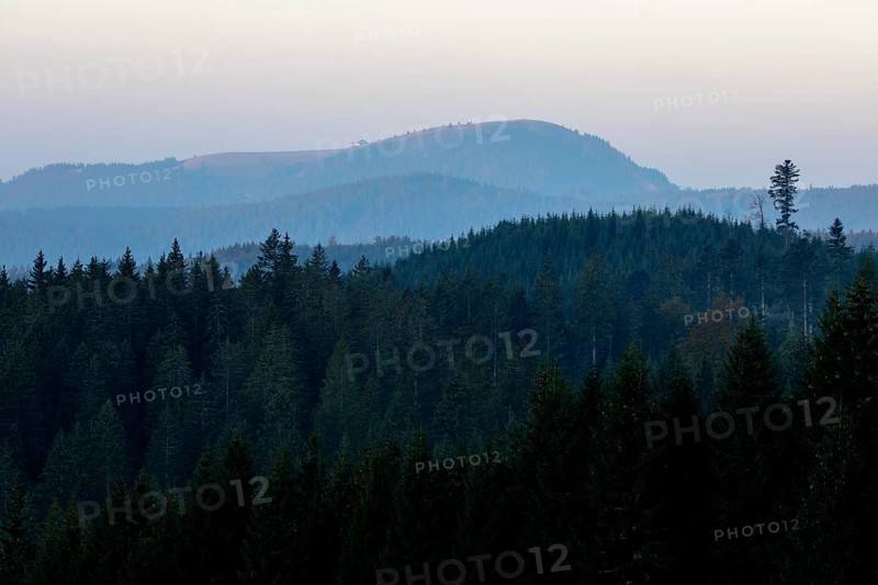 View in the morning light of the Belchen in the Black Forest