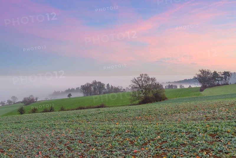 Countryside at Dawn with Morning Mist