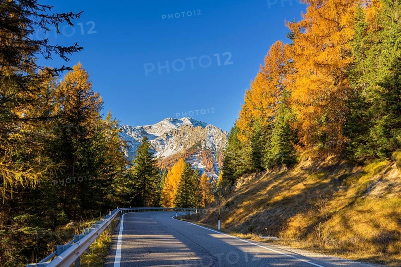Mountain road in autumn