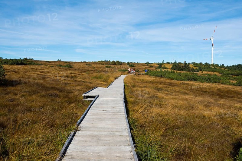 High moor and boardwalk