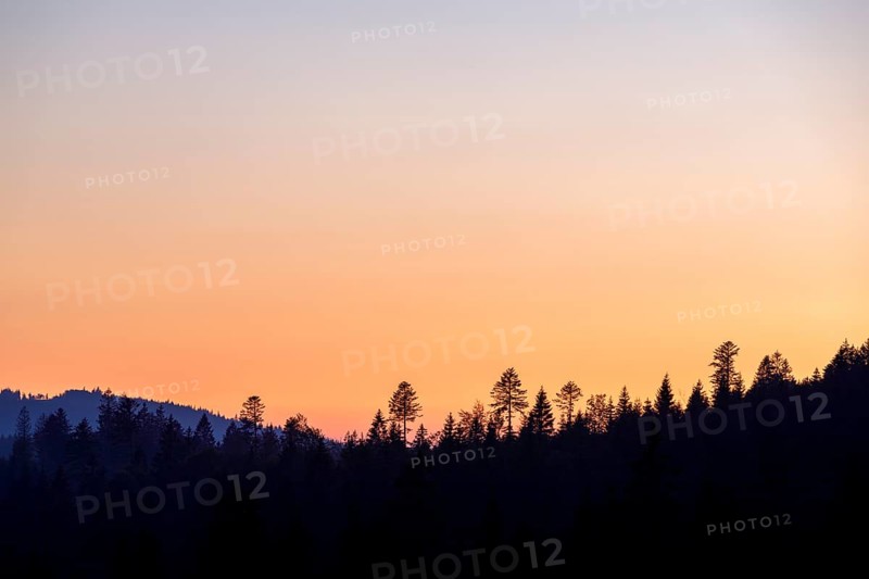 View in the morning light of the Belchen in the Black Forest