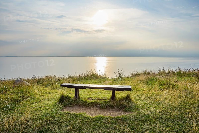Shoreline with Sun and Bench in Summer