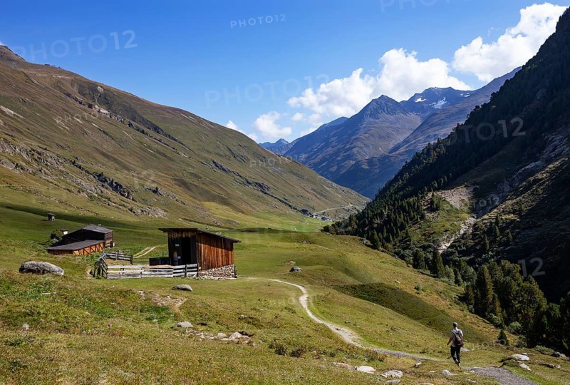 Hikers walking on the alpine pastures in the Rofental