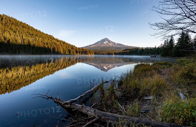 Lake shore