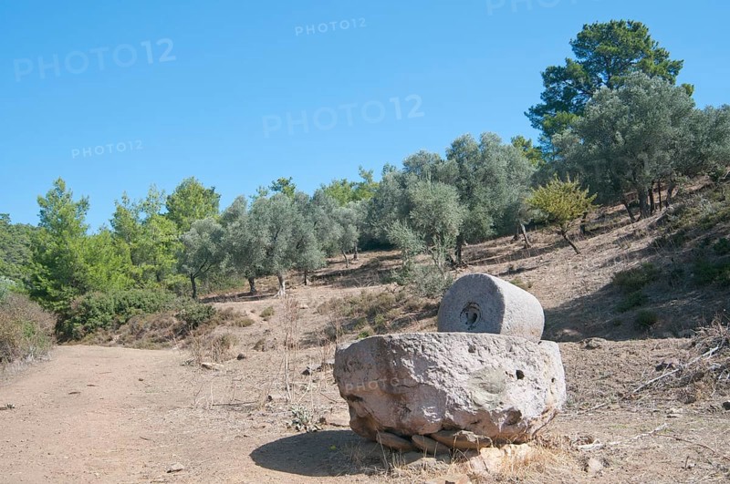 Old stone oil press